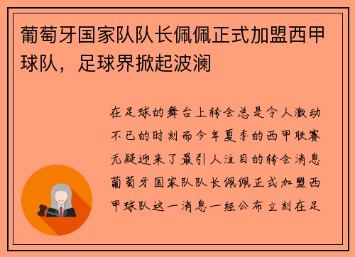 葡萄牙国家队队长佩佩正式加盟西甲球队，足球界掀起波澜