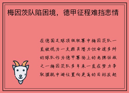 梅因茨队陷困境，德甲征程难挡悲情